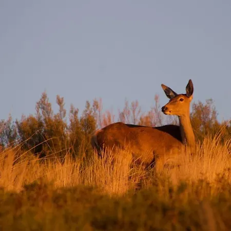 Casa de Férias Casa Beatriz