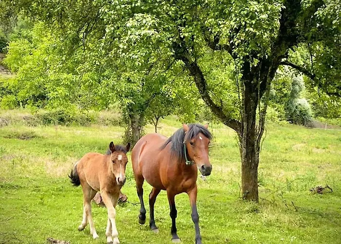 Casa Beatriz بيت للعطل Alge