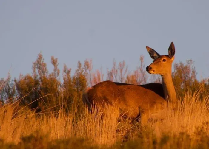 بيت للعطل Casa Beatriz